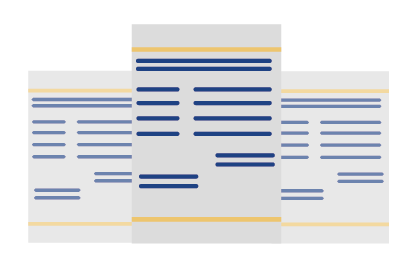 Tally accounting software UAE